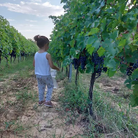 Lantgård Corte In Poggio