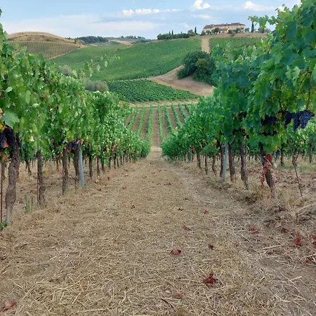 Lantgård Corte In Poggio